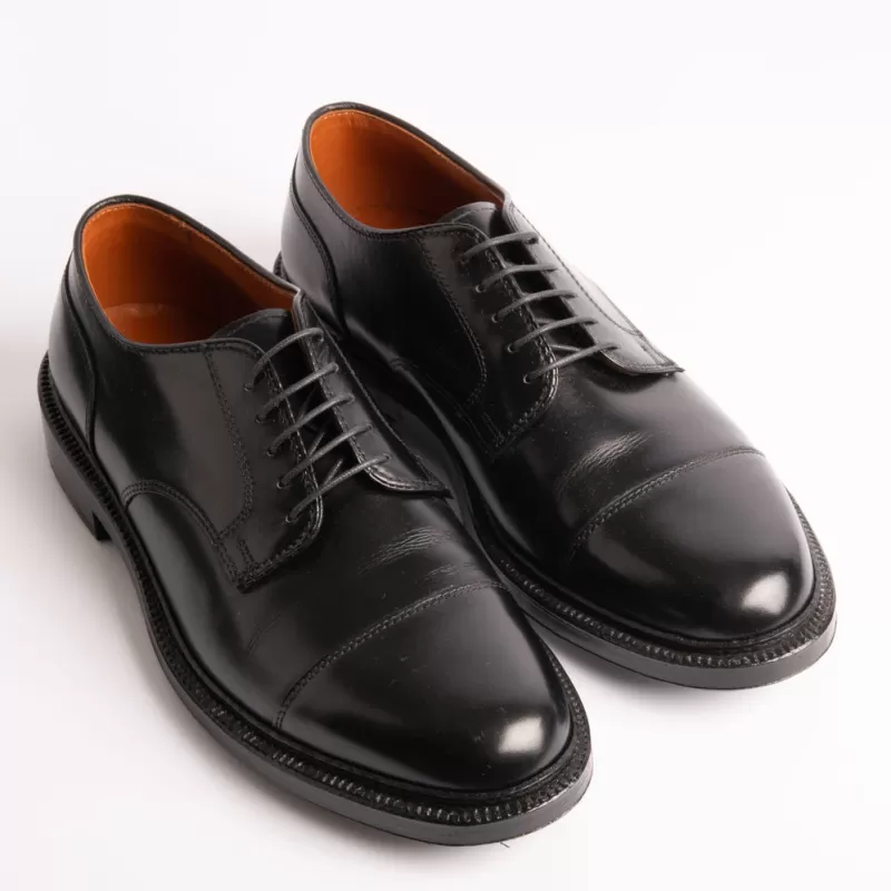 Men Alden Derby And Oxford Shoes* - 2253Y - Derby Calf - Black